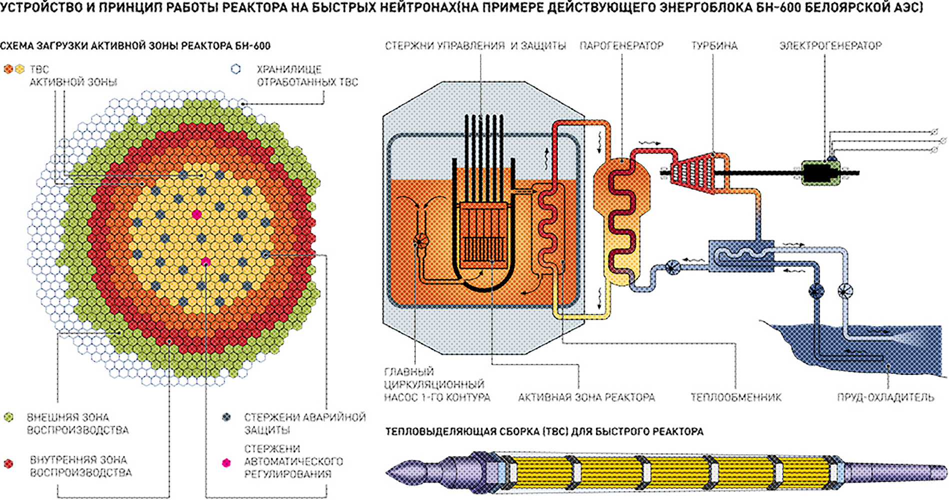 Зона воспроизводства. ТВС реактора БН-600. Ядерный реактор БН-800 схема. Реактор БН-1200 схема. Реактор на быстрых нейтронах схема.